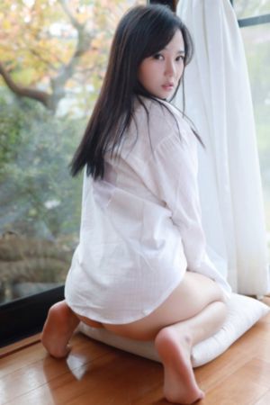 铠甲勇士雷霆雅塔莱斯